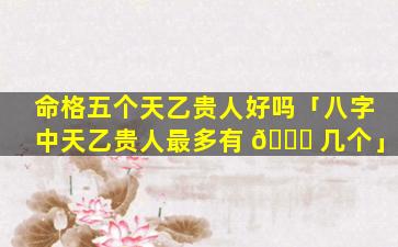 命格五个天乙贵人好吗「八字中天乙贵人最多有 🐎 几个」